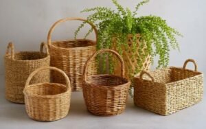 A collection of five best eco-friendly woven baskets in different sizes and shapes, with a fern plant behind them.