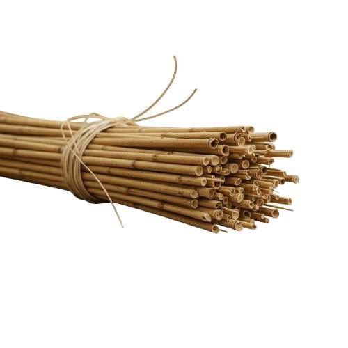 Natural cane sticks bundled for crafting, furniture accents and eco-friendly product manufacturing